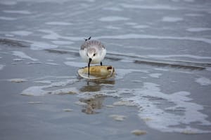 The Life List & the Self